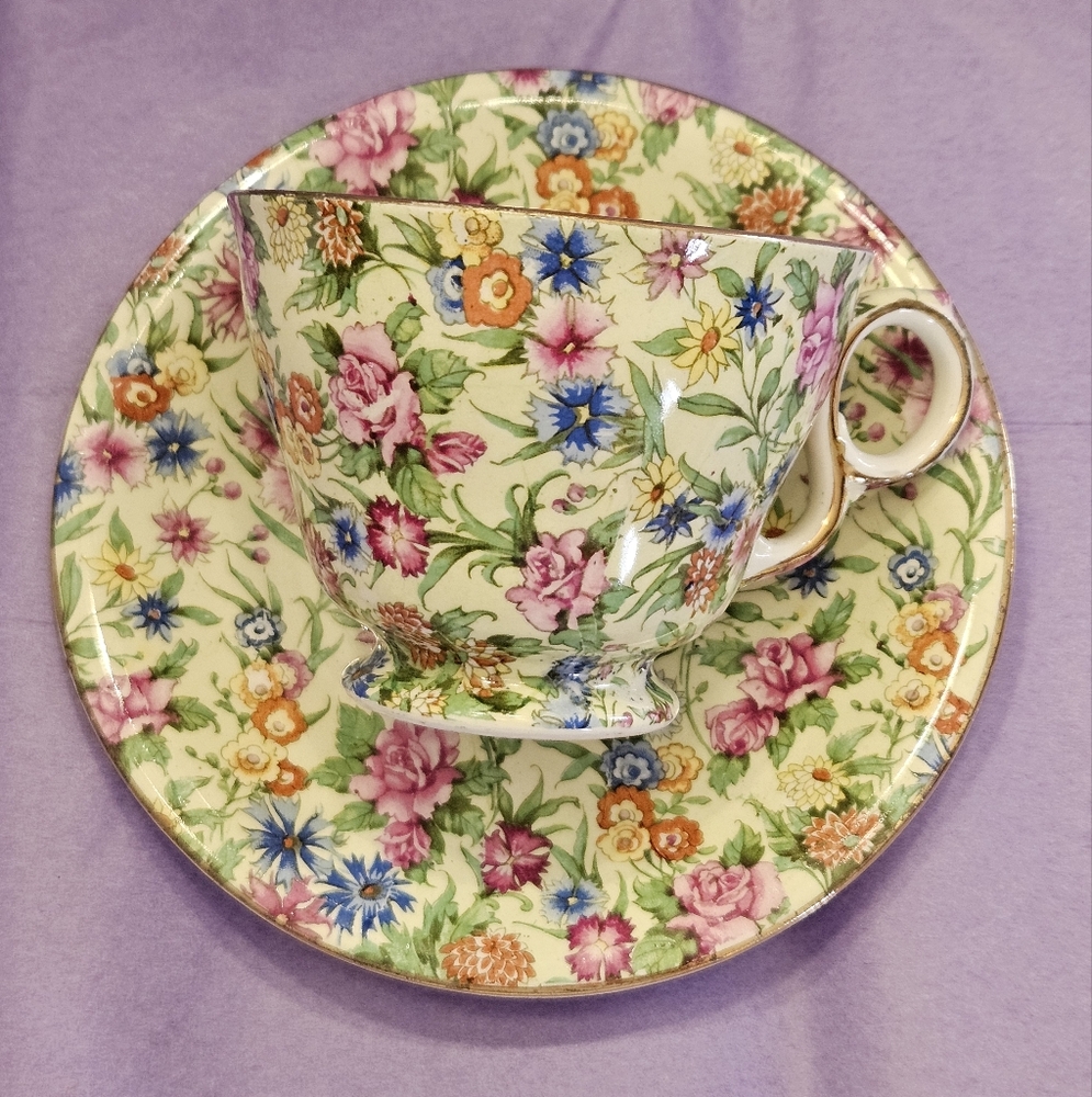 "Kew" Chintz cup and saucer by Royal Winton Grimwades England.
